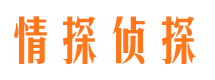 文安侦探公司